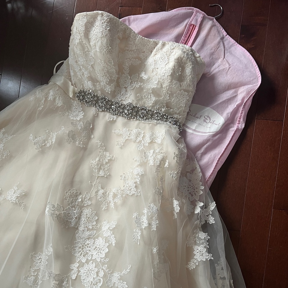 Callista Wedding Gown (Plus Size 20-22, Champagne with Rhinestone Belt)